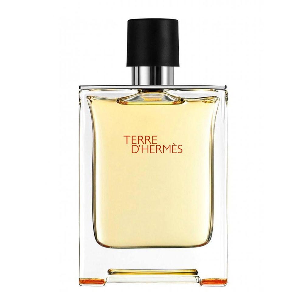 Hermes Terre D'Hermes Pure Parfum Spray 100ml